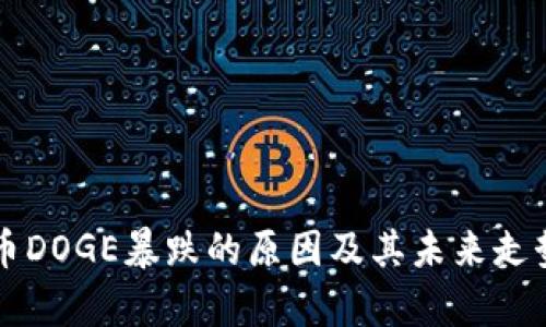 虚拟币DOGE暴跌的原因及其未来走势分析