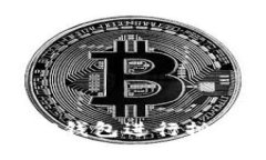 如何使用TP钱包进行摊煎兔子交易