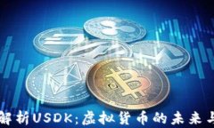 全面解析USDK：虚拟货币的未来与潜力