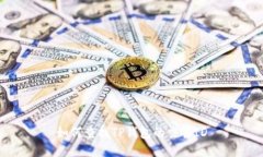 如何查找TP钱包的交易ID